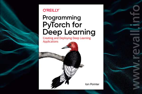 Programming PyTorch for Deep Learning